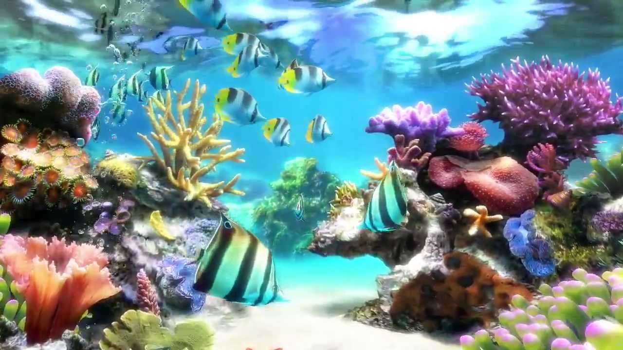 sim aquarium free